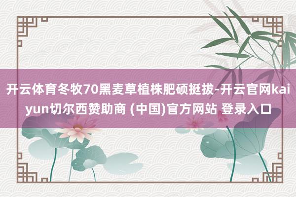 开云体育冬牧70黑麦草植株肥硕挺拔-开云官网kaiyun切尔西赞助商 (中国)官方网站 登录入口