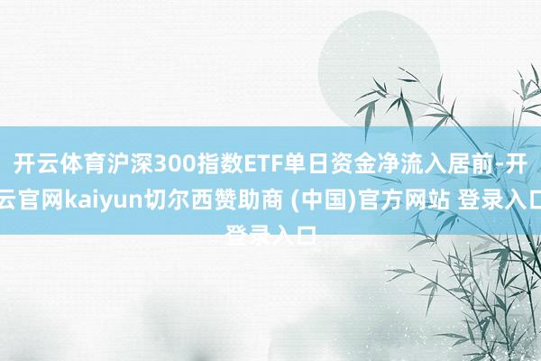 开云体育沪深300指数ETF单日资金净流入居前-开云官网kaiyun切尔西赞助商 (中国)官方网站 登录入口