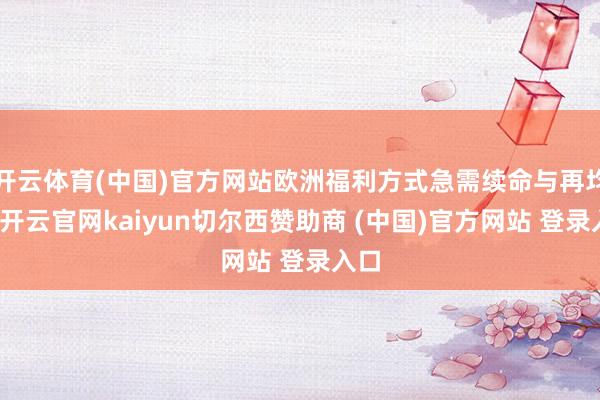 开云体育(中国)官方网站欧洲福利方式急需续命与再均衡-开云官网kaiyun切尔西赞助商 (中国)官方网站 登录入口